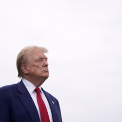 В Кремле сообщили об отсутствии договоренностей о визите Трампа в Петербург