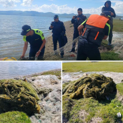 Соң-Көлдө 37 миң метр мыйзамсыз балык уулоочу тор алынды