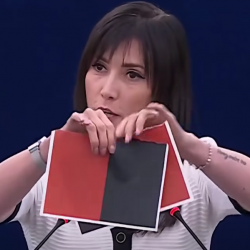 ВИДЕО - Европа парламентинде украин улутчулдарынын желеги айрылды