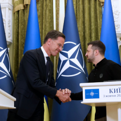 Британдык дипломат НАТО өлкөлөрүнүн Украина боюнча саясатын сынга алды