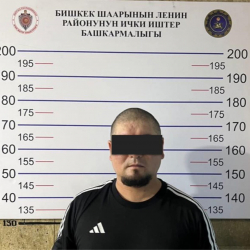 Бишкекте 15 миң доллар алдап алган жаран кармалды