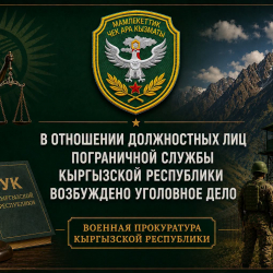 В отношении военнослужащего Пограничной службы Кыргызской Республики возбуждено уголовное дело