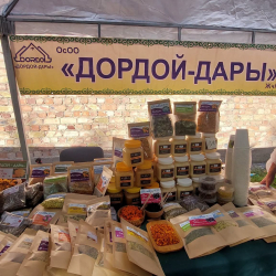 Суусамырда дары чөптөрдү өнүктүрүү боюнча резолюция кабыл алынды