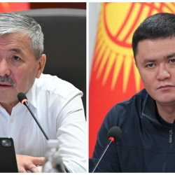 Касымалиев Орунтаевдин билдирүүсүн кескин сынга алды
