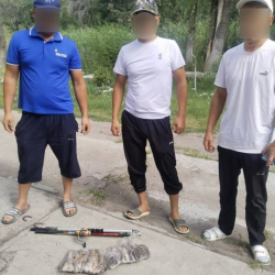 Таласта мыйзамсыз кармалган 26 даана Амур форели аныкталды