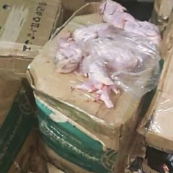 Душанбеде кооптуу бактериялары бар бөдөнө эти аныкталды