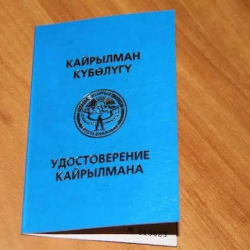 387 этникалык кыргызга кайрылман статусу берилди