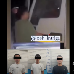 Ноокатта жүк ташуучу унаанын айдоочусуна карата бейбаштык боюнча кылмыш иши козголду
