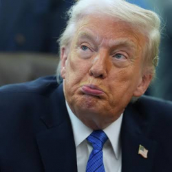 Трампка каршы сотко доо арыз берилди