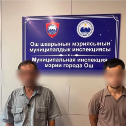 Ошто агын сууга ичеги-карын жууган жаранга айып пул салынды