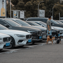 Кыргызстанда автоунааларды сатуу өстү