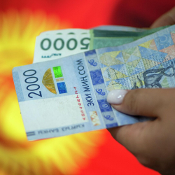 Кыргызстанда баалар өсүүдө, инфляция 11,7% болду