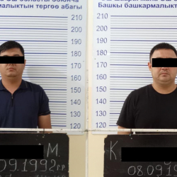 УКМК: Бажынын эки инспектору кармалды
