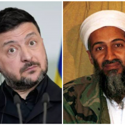 Захарова сравнила Зеленского с Усамой бен Ладеном