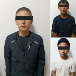 Ошто өспүрүмдөрдү тоноого шектелген үч жаран кармалды