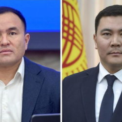 Депутат Алишер Козуев министр Акыл Токтобаевди комитет менен тыгыз иштешүүгө чакырды