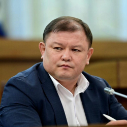 Депутат призвал родителей девочки, лишившейся ноги, проявить милосердие к врачу НЦОМиД