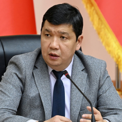 Мэр вице-спикердин жол боюнча сынына жооп берди
