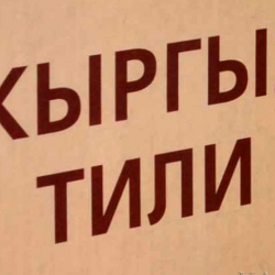В Жогорку Кенеше подняли вопрос об открытии бесплатных курсов кыргызского языка.