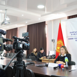 Кыргызстанда жумуш издөө үчүн эки жаңы электрондук портал ишке кирди