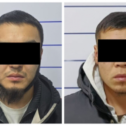 Ак-Ордодо өспүрүмдү бычактоого шектелип эки адам кармалды