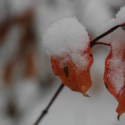 Жаан жаап, тоолуу аймактарда кар жаайт: 6-октябрга карата аба ырайы