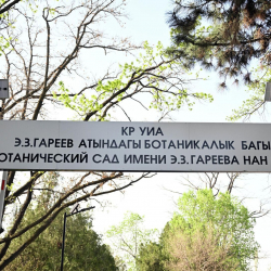 Бишкектеги ботаникалык бактын администрациясына айып салынды