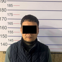 Бишкекте эмерек жасап берүүнү убада кылып, 6 100 доллар алган жаран кармалды