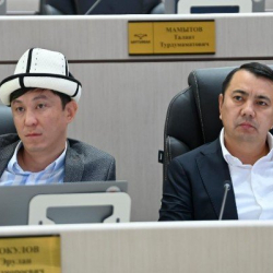 Марлен Маматалиев Эрулан Көкүловдун депутаттар тууралуу сөзүнө жооп берди