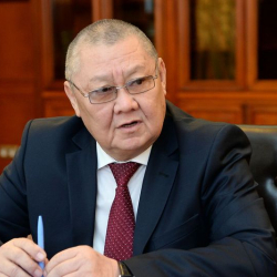 Токон Мамытов: “Европадагы нааразылыктар социалдык-экономикалык көйгөйлөрдүн жана саясий чыңалуунун күчөгөнүн көрсөтөт”