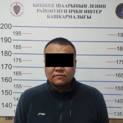 Бишкекте 10 миң долларлык унааны алдамчылык менен алган жаран кармалды