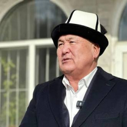 Оштун экс-мэри Токторбаев карапайым жарандын жерин тартып алганы айтылды
