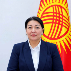 Ош облусундагы президенттин өкүлүнүн орун басары дайындалды
