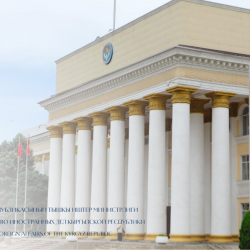 ТИМ АКШдагы коммерциялык айдоочулук күбөлүктөрү (CDL) боюнча түшүндүрмө берди