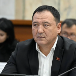 Жогорку Кеңештин депутаты Бекмурза Эргешов соттолгонун жашырганбы?