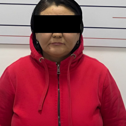 СҮРӨТ - Журналист Арстанбекова камакка алынып, убактылуу кармоочу жайга киргизилди