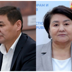 Мандатынан ажыратылган Ташиевдин ордуна Мавлюда Калбердиева келиши мүмкүн