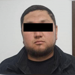 Чүйдө экстремисттик материалдарды таратууга шектүү жаран кармалды