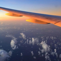 ТИМ: Жакынкы Чыгыш өлкөлөрүнөн 700гө жакын жаран эвакуацияланды