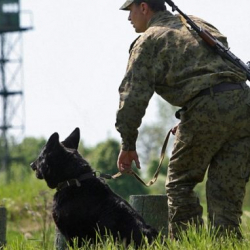 Чек арага чектеш аймакта жүрүү тартиби жеңилдетилди