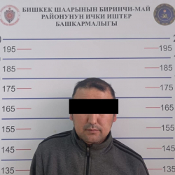 Бишкек шаарынын Биринчи май РИИБдин кызматкерлери тарабынан алдамчылыкка шектүү жаран кармалды