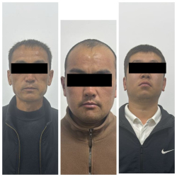 Аламүдүн районунда бейбаштык фактысы боюнча шектүүлөр кармалды