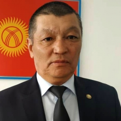 Токтогулдун акими кызматтан бошотулду