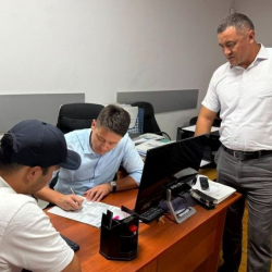 Соң-Көлдө жайытты унаа менен тебелегендерге чара көрүлдү