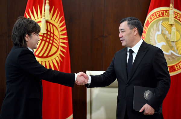 Президент Акыйкатчы Жамиля Жаманбаеваны кабыл алды