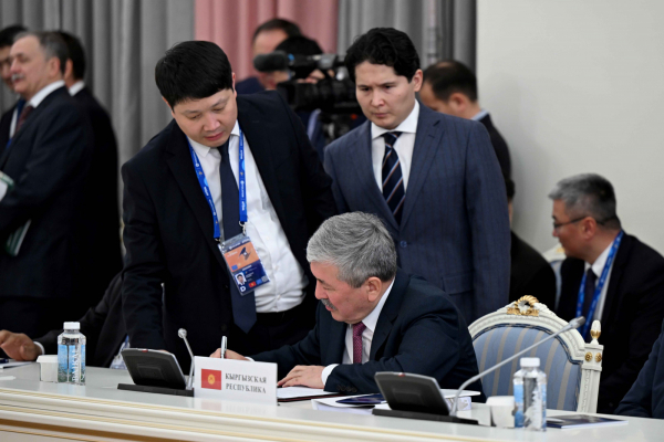 2026-жылга Кыргызстан электромиль ташып келүүдө 15 миң даанага квота алды