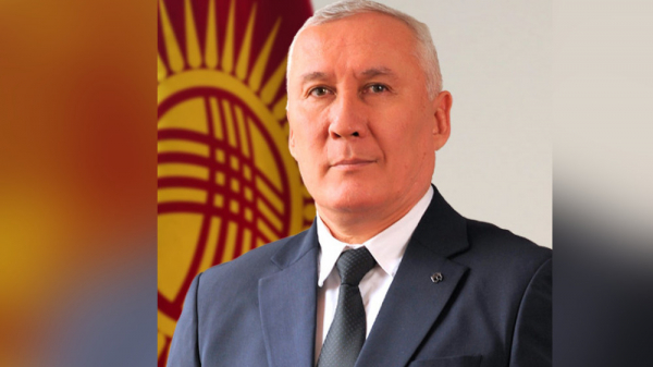 Экология министринин биринчи орун басары кызматынан бошотулду