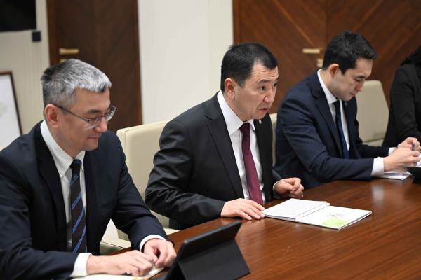 Эрлист Акунбеков менен Лю Цзянпин кыргыз-кытай кызматташтыгынын учурдагы абалын талкуулашты