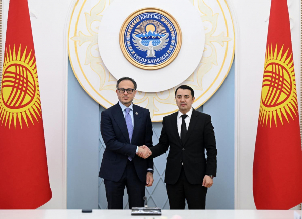 Марлен Маматалиев ТүркПАнын Башкы катчысы Рамил Хасанды кабыл алды