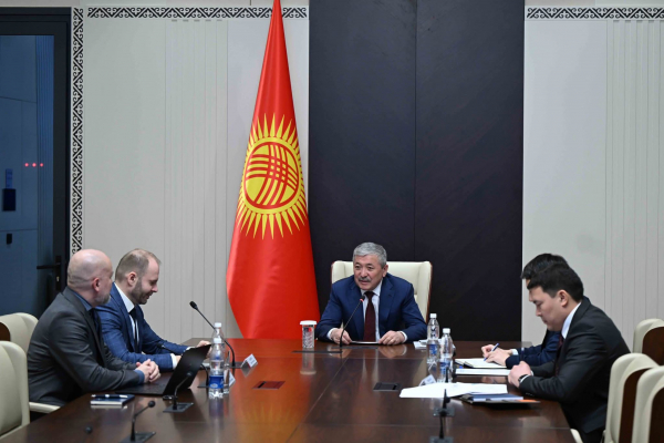 Адылбек Касымалиев провел встречу с представителями компании «Бостон Консалтинг Групп»